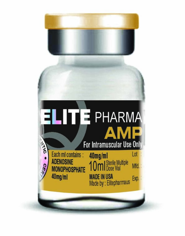 AMP
